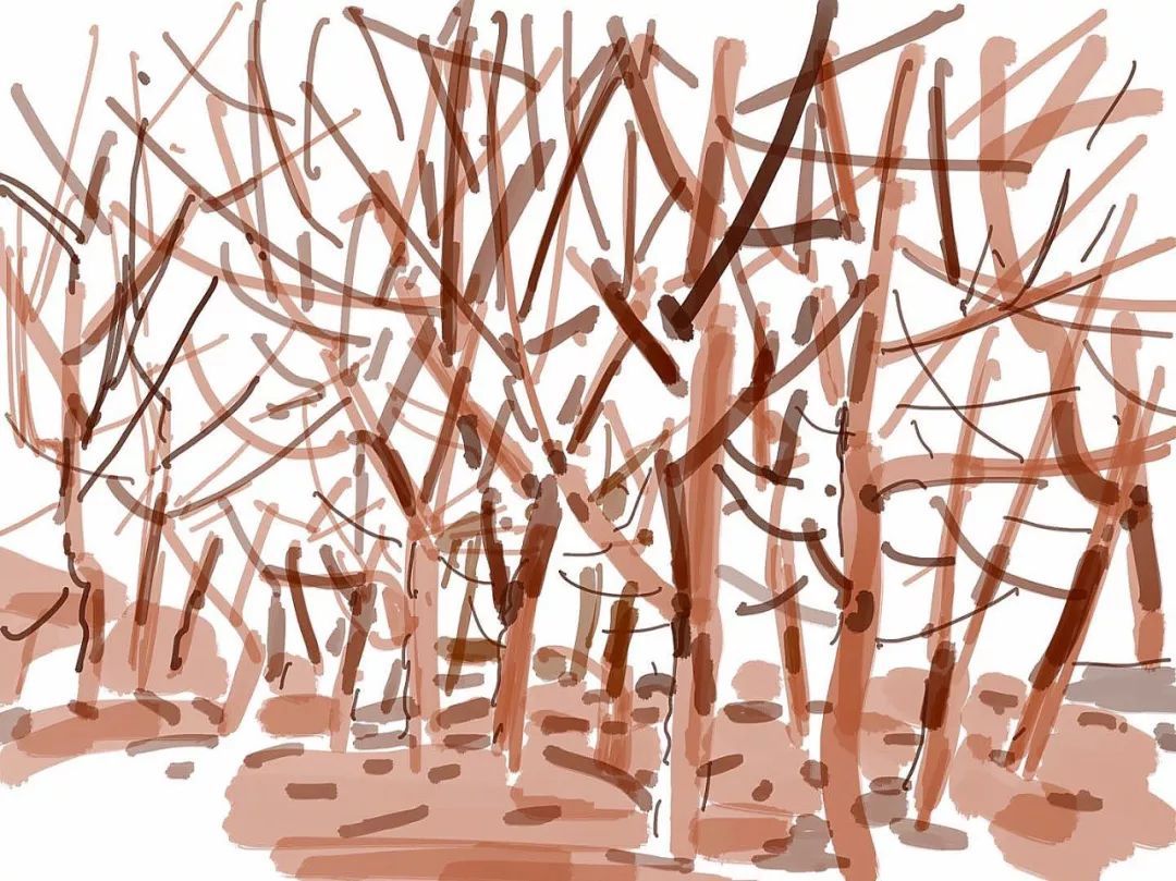 ‘hth官网入口’福建省运会网球赛“高冷” 观众大都是家长和教练(图1) 华体会体育hth官方网站