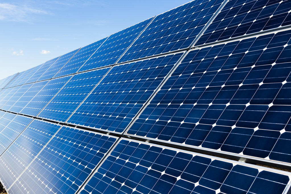 红蚯蚓价格多少钱一斤?红蚯蚓怎么养殖?“华体会体育hth官方网站”(图2) hth官网入口