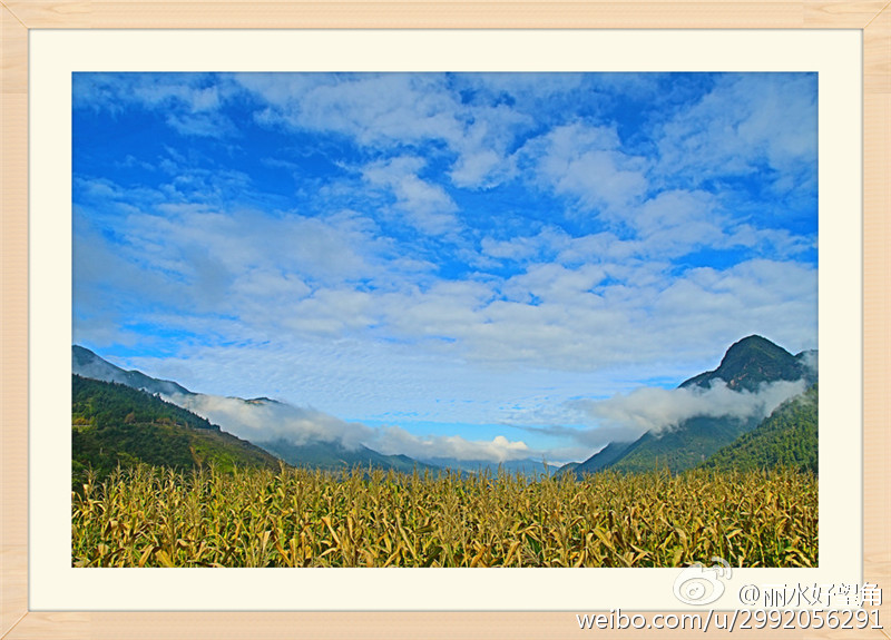 红蚯蚓价格多少钱一斤?红蚯蚓怎么养殖?“华体会体育hth官方网站”(图3) 华体会体育hth官方网站