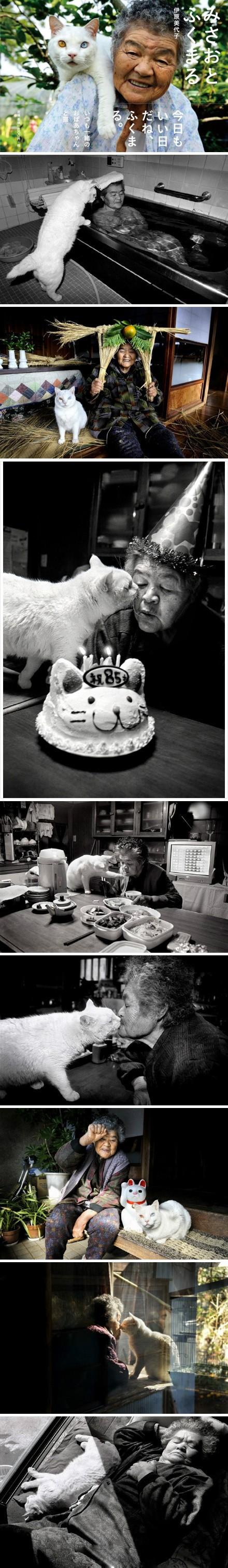 华体会体育hth官方网站-
特殊12冠军赛 辽宁队拿到冠军 那么得手的奖金有几多呢?(图4) hth官网入口