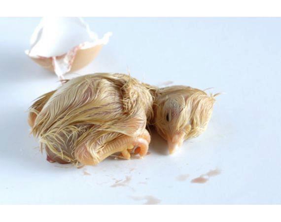 华体会体育hth官方网站