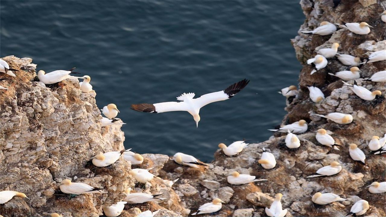 海盐县水利局获全国水利六五普法先进【hth官网入口】(图2) 华体会体育hth官方网站