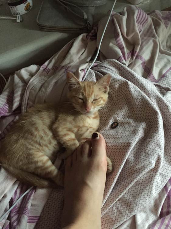 华体会体育hth官方网站