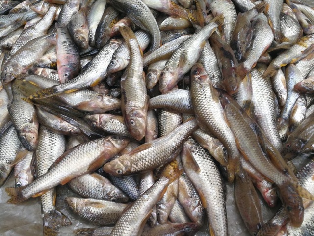 hth官网入口|濮阳第一河务局水政执法变“秋后算账”为“全程服务”(图2) 华体会体育hth官方网站