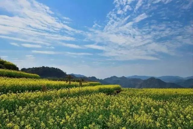 三峡集团与云南落地移民搬迁安置任务|华体会体育hth官方网站(图2) hth官网入口