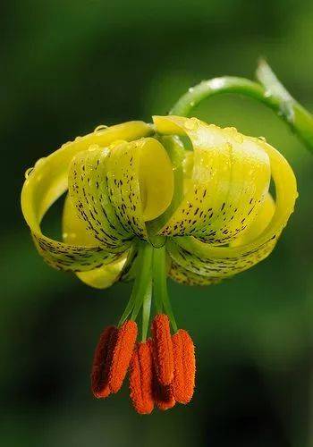 【hth官网入口】河北省首部水资源保护规划实施(图1) hth官网入口