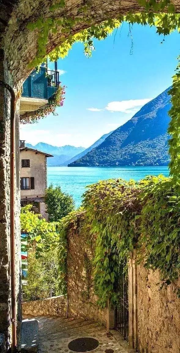 华体会体育hth官方网站_今日小麦价格走势如何?2019年3月4日全国小麦价格行情(图1) hth官网入口