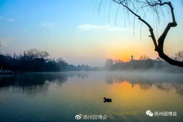 迪拜赛解签:费德勒签运一般 有望四强PK穆雷|hth官网入口(图1) 华体会体育hth官方网站