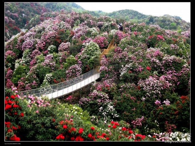 孙杨400自三连冠复仇 把霍顿甩远简直不要太爽!-华体会体育hth官方网站(图1) 华体会体育hth官方网站