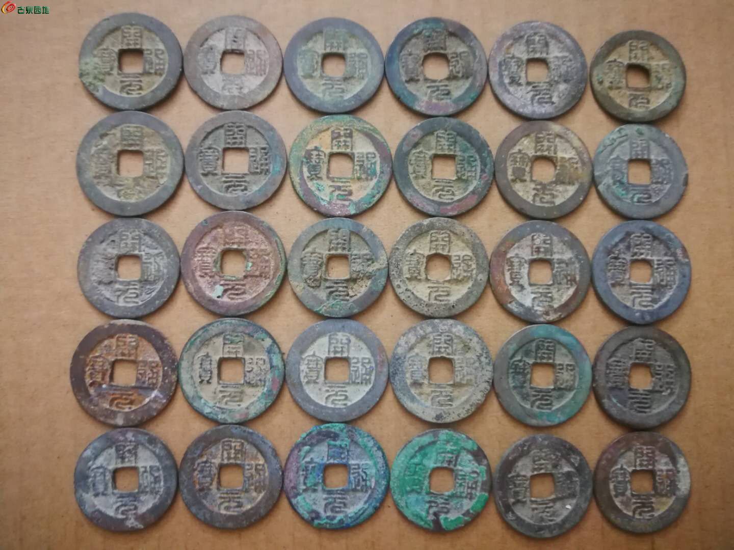 hth官网入口|蚝苗有哪些优良品种?蚝苗如何培育?(图2) hth官网入口