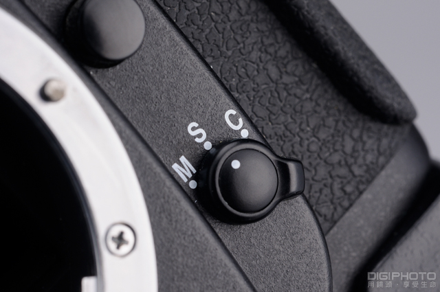 广玉兰价格受自然灾害的影响_hth官网入口(图1) hth官网入口