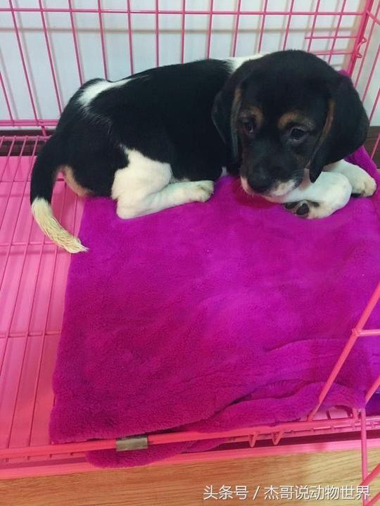 华体会体育hth官方网站