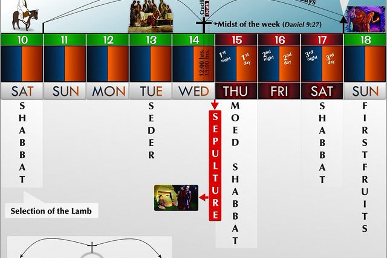 华体会体育hth官方网站
