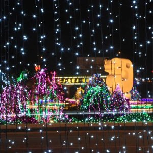 教师变身“快递小哥”送教材到家“华体会体育hth官方网站”(图2) hth官网入口