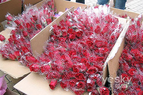 华体会体育hth官方网站