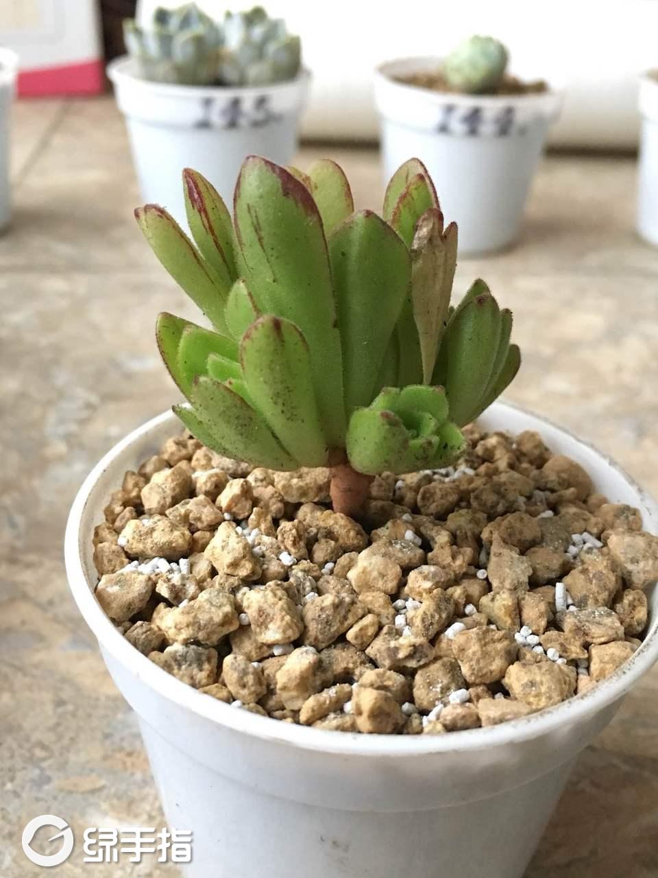 华体会体育hth官方网站