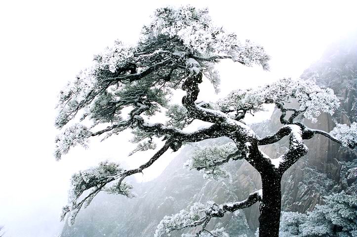 华体会体育hth官方网站