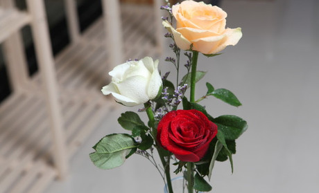 hth官网入口_北京娃娃鱼多少钱一斤?养殖娃娃鱼需要什么条件?(图3) 华体会体育hth官方网站