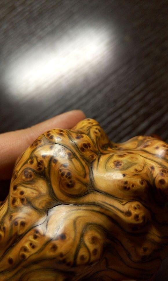 hth官网入口_北京娃娃鱼多少钱一斤?养殖娃娃鱼需要什么条件?(图2) 华体会体育hth官方网站