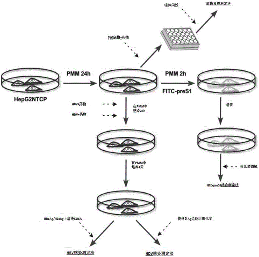 华体会体育hth官方网站