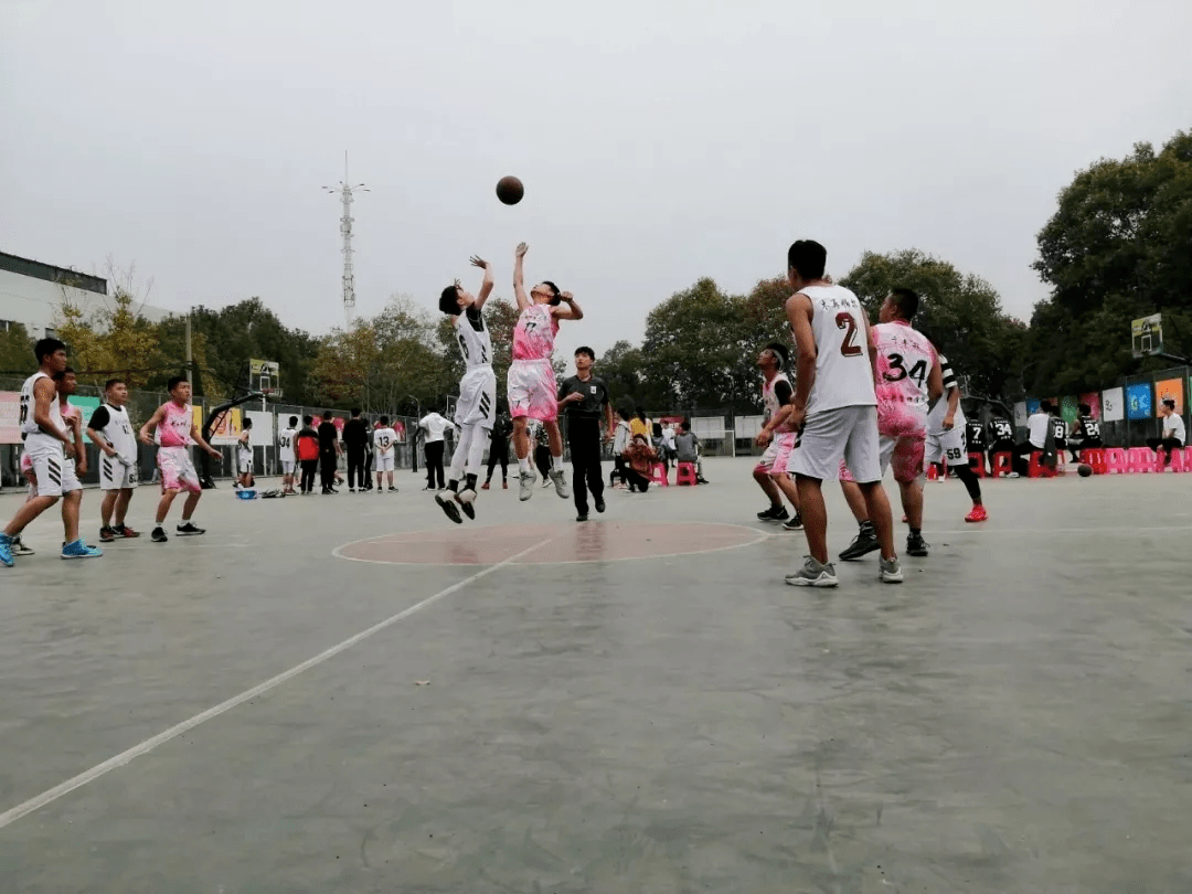 
萌新攻略-华体会体育hth官方网站(图4)