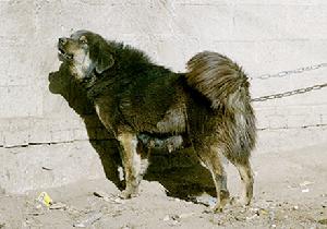 郑州黄河水电公司深入推进“企业规范管理年”活动【华体会体育hth官方网站】(图4) 华体会体育hth官方网站