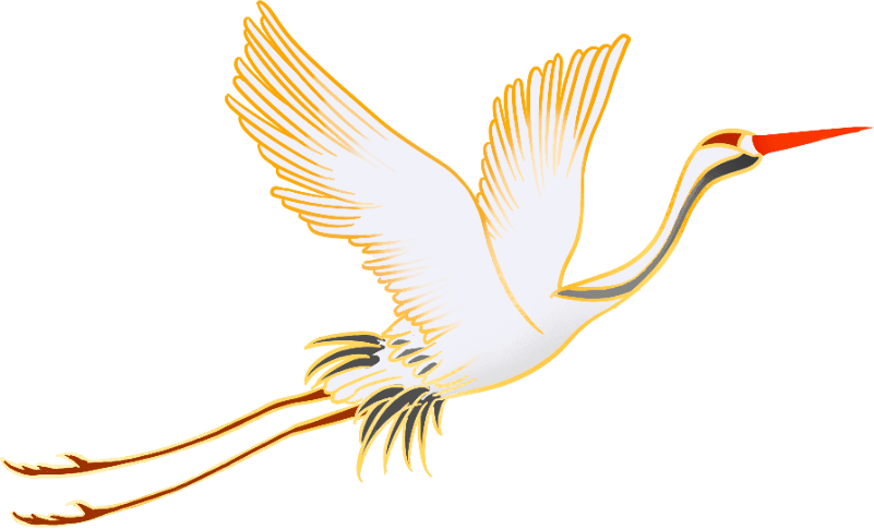 
“职”达未来‘华体会体育hth官方网站’(图12)