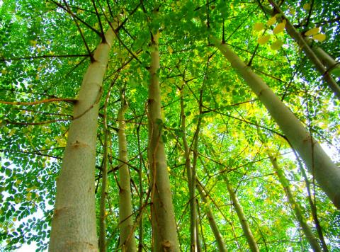 华体会体育hth官方网站