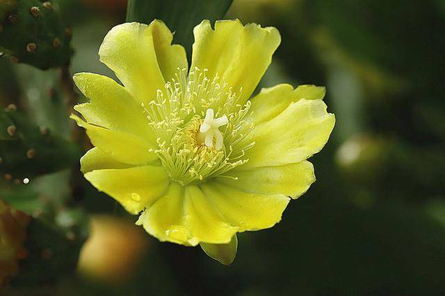 
男子的“条理”高不高？从他对你说的话里 就可以看出来|华体会体育hth官方网站(图12)