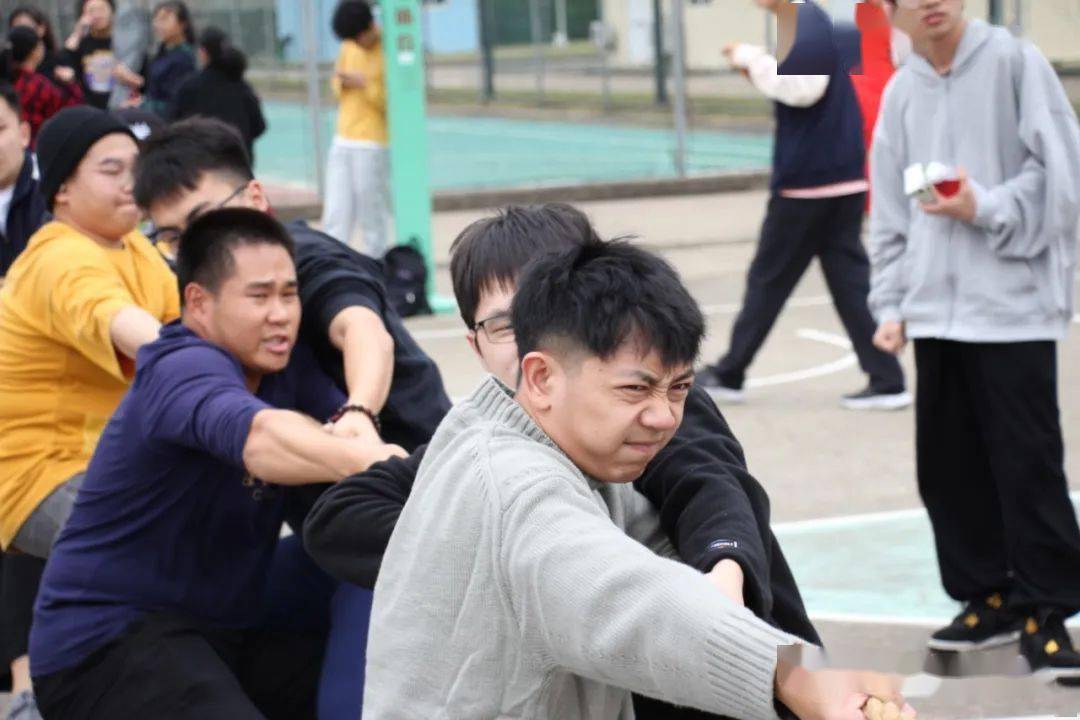 【华体会体育hth官方网站】
体育文化节(图14) 【华体会体育hth官方网站】
体育文化节(图14)